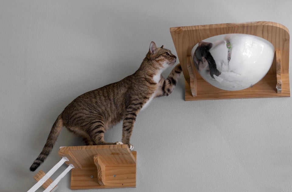 Estantes Hexagonales para Gatos – Muebles Modulares de Pared