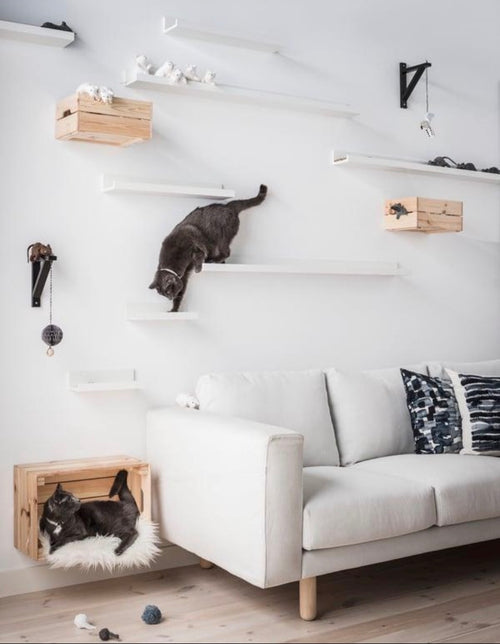 Estantes Hexagonales para Gatos – Muebles Modulares de Pared