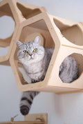 Estantes Hexagonales para Gatos – Muebles Modulares de Pared