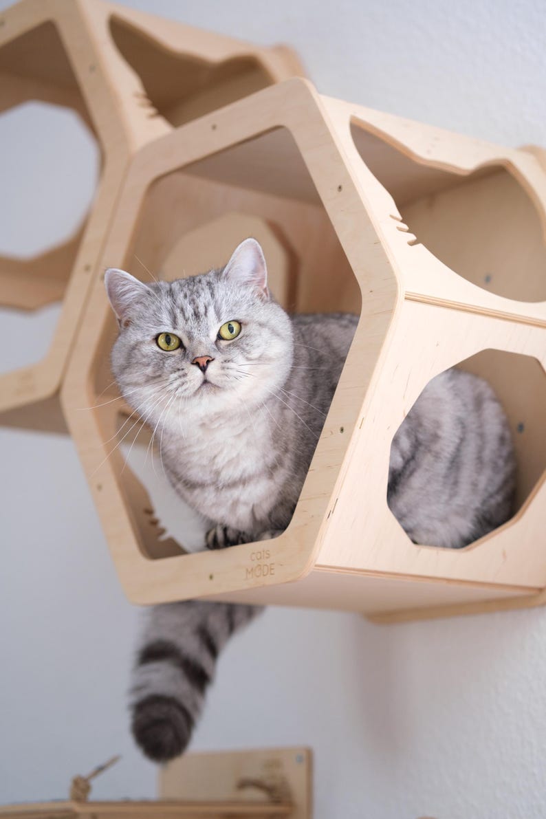 Estantes Hexagonales para Gatos – Muebles Modulares de Pared